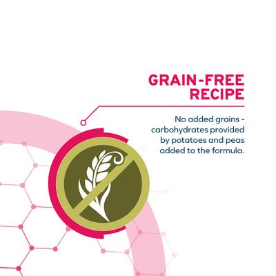 DailyPro Sensitive Digestion Grain-Free Seafood & Fish Medium To Large Breed Dry Dog Food, 3.3-lb bag