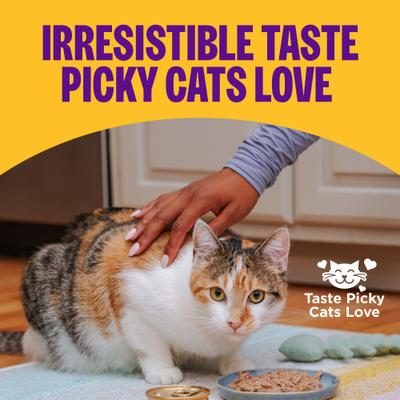 Complete Health Pate Sampler Pack Grain-Free Natural Wet Cat Food, 3-oz can, case of 6