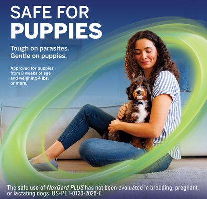 Chewables for Dogs, 17.1-33 lbs. (Gold Box) 1 Chewable Tablet (1-mo. supply)