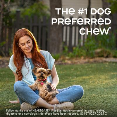 Plus Chew for Dogs, 51-100 lbs, (Brown Box), 6 Chews (6-mos. supply)