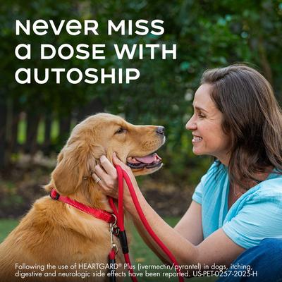 Plus Chew for Dogs, up to 25 lbs, (Blue Box), 6 Chews (6-mos. supply)