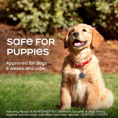 Plus Chew for Dogs, up to 25 lbs, (Blue Box), 6 Chews (6-mos. supply)