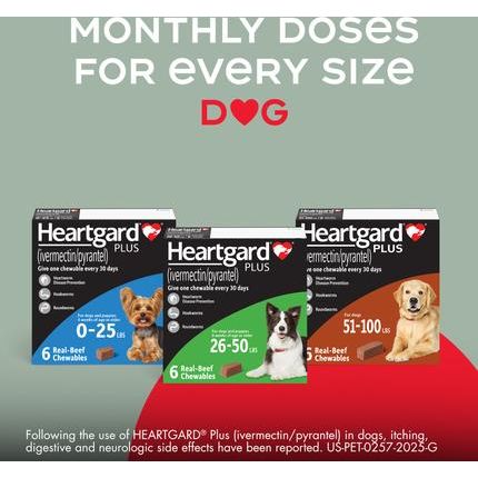 Plus Chew para perros, hasta 25 lb, (caja azul), 6 masticables (suministro para 6 meses)