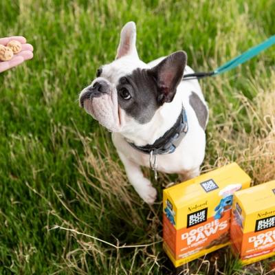 Golosinas para perros Doggie Paws con tocino y arce, caja de 16.2 oz