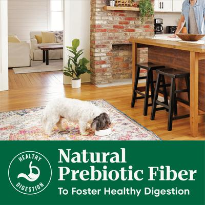 Natural Choice Adult Small Breed Chicken & Brown Rice Recipe Dry Dog Food, 5-lb bag