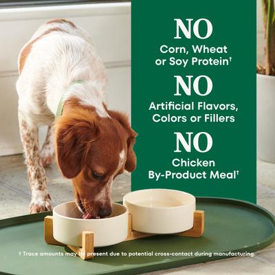 Natural Choice Adult Small Breed Chicken & Brown Rice Recipe Dry Dog Food, 5-lb bag