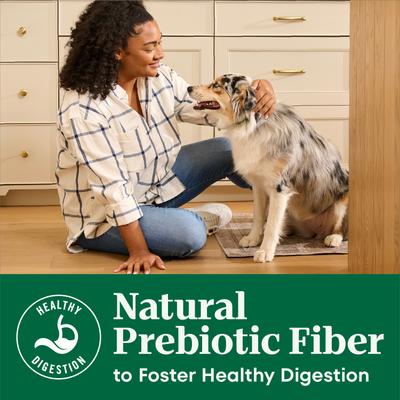 Natural Choice Adult Small Bites Lamb & Brown Rice Recipe Dry Dog Food, 5-lb bag