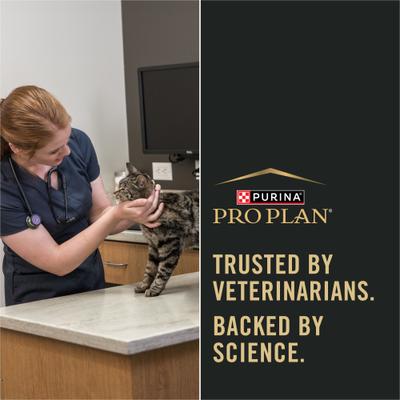 Alimento seco para gatos mayores con piel y estómago sensibles, fórmula de salmón y arroz, bolsa de 3.5 lb