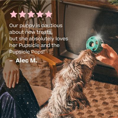 Pupsicle Jingle Pops Refills Peanut Butter Grain-Free Lickable Dog Treats, 7 count