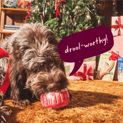 Pupsicle Jingle Pops Refills Peanut Butter Grain-Free Lickable Dog Treats, 7 count