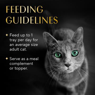 Selections Filets in Broth Chicken & Shrimp Recipe Grain-Free Cat Meal Complement, 1.3-oz tray, case of 12