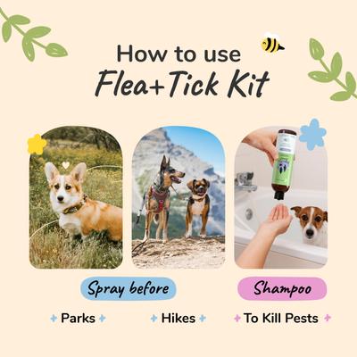 Flea+Tick Lemongrass Spray & Shampoo Maximum Protection Set for Dogs & Cats, 12-fl oz bottle