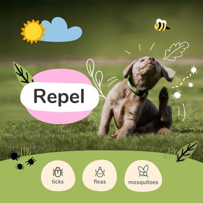 Flea+Tick Prevent Lemongrass Dog & Cat Spray, 12-fl oz bottle