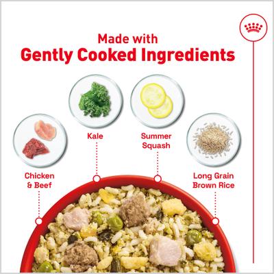 Fresh Health Nutrition Senior Dog Food, 8.8-oz pouch, pack of 7