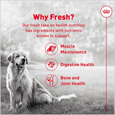 Fresh Health Nutrition Senior Dog Food, 14.1-oz pouch, pack of 7