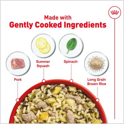 Fresh Health Nutrition Adult Dog Food, 14.1-oz pouch, pack of 7