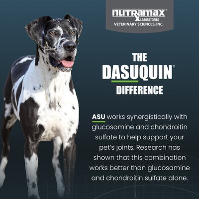 Dasuquin with MSM Soft Chew Joint Health Supplement for Large Dogs, 42 count