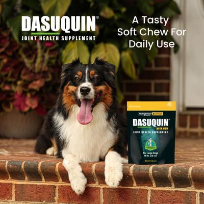 Dasuquin with MSM Soft Chew Joint Health Supplement for Large Dogs, 42 count