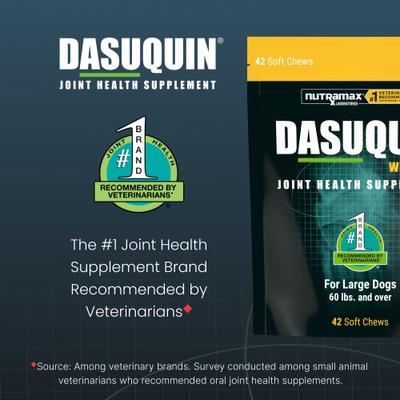Dasuquin with MSM Soft Chew Joint Health Supplement for Large Dogs, 42 count
