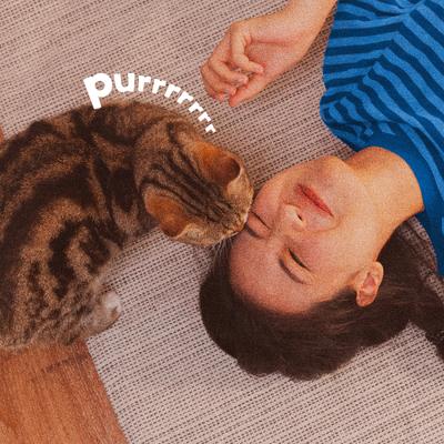 Plus Flea & Tick Spot Treatment for Cats over 5 lbs, 3 Doses (3-mos. supply)