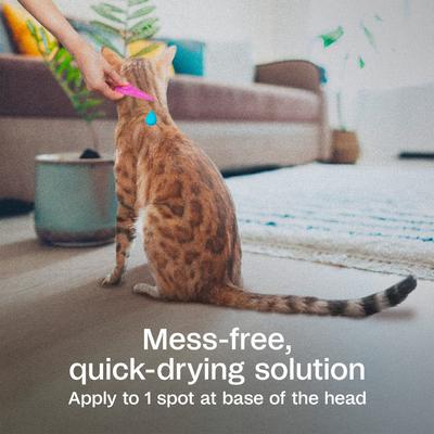 Plus Flea & Tick Spot Treatment for Cats over 5 lbs, 3 Doses (3-mos. supply)