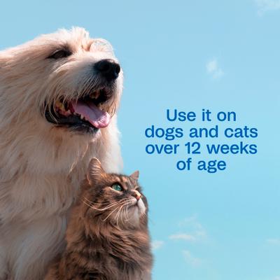 Plus Pyrethrin Dip for Dogs & Cats, 4-fl oz bottle