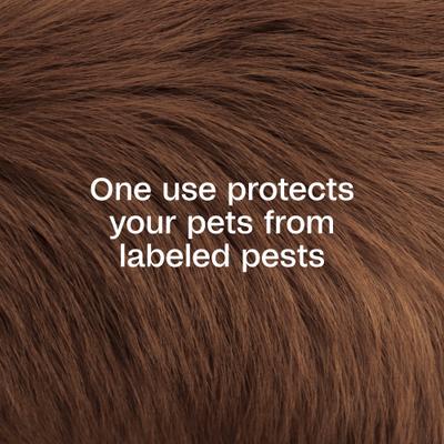 Plus Pyrethrin Dip for Dogs & Cats, 4-fl oz bottle