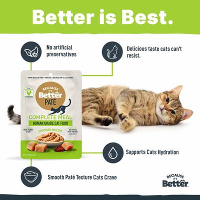 Complete Meal Chicken Recipe Pate Wet Cat Food, 2.6-oz pouch, case of 12