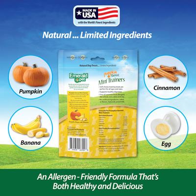 Pumpkin Harvest Mini Trainers Banana Soft & Chewy Dog Treats, 6-oz bag
