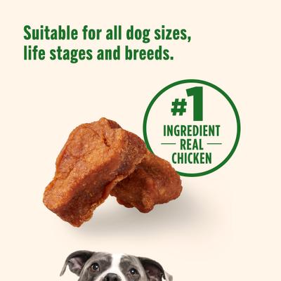 Galletas premium para perros Savory Roasters Chicken Recipe, bolsa de 355 g (Rachael Ray)