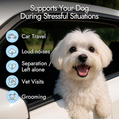 Beef Flavored Calming Chews Supplement for Dogs, 60 count