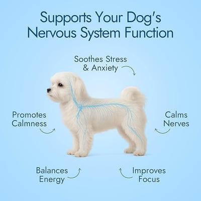 Beef Flavored Calming Chews Supplement for Dogs, 60 count