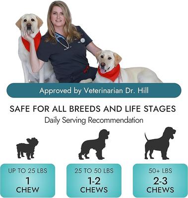 Beef Flavored Multi Soft Chews Immune Supplement for Dogs, 60 count