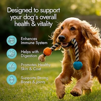 Beef Flavored Multi Soft Chews Immune Supplement for Dogs, 60 count