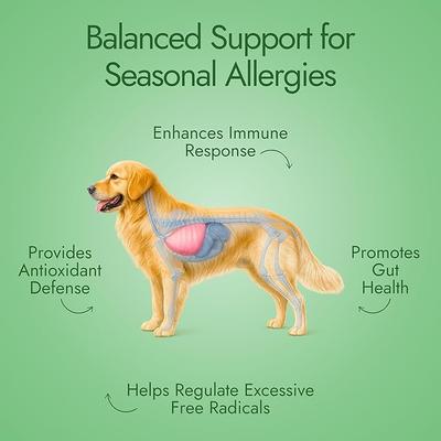 Beef Flavored Chews Allergy Relief Supplement for Dogs, 60 count