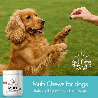 Beef Flavored Multi Soft Chews Immune Supplement for Dogs, 60 count