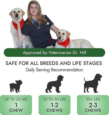 Beef Flavored Chews Allergy Relief Supplement for Dogs, 60 count