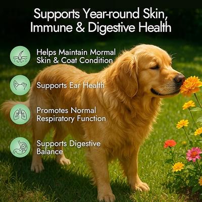 Beef Flavored Chews Allergy Relief Supplement for Dogs, 60 count