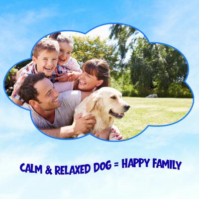 Daily Calming Aid for Large Size Dogs, 30 count, 7.1-fl oz pouch