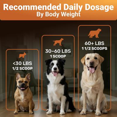 Pumpkin Digestive Aid Supplement Powder, 2-oz