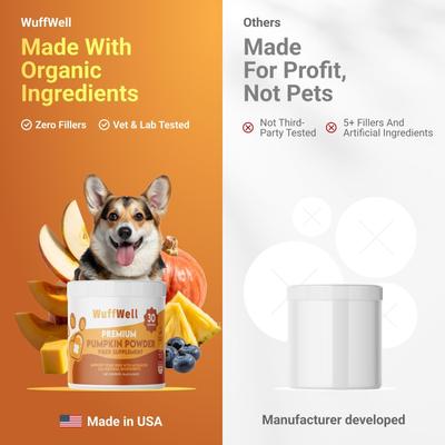 Pumpkin Digestive Aid Supplement Powder, 2-oz