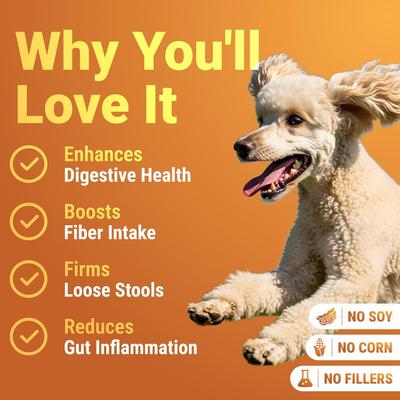 Pumpkin Digestive Aid Supplement Powder, 2-oz