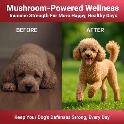 Seven Shrooms Mushroom Powder Supplement for Dogs, 2-oz