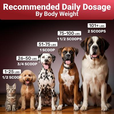 Seven Shrooms Mushroom Powder Supplement for Dogs, 2-oz