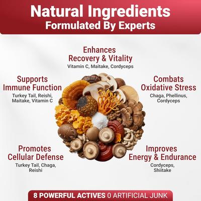 Seven Shrooms Mushroom Powder Supplement for Dogs, 2-oz