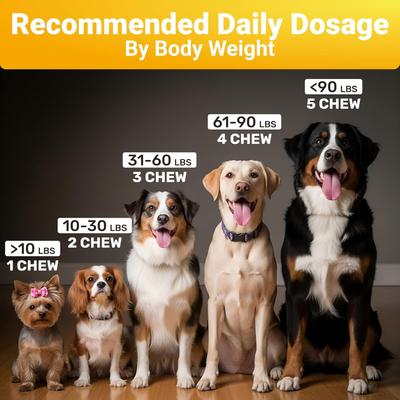 Allergy Supplement Chews for Dogs, 140 count