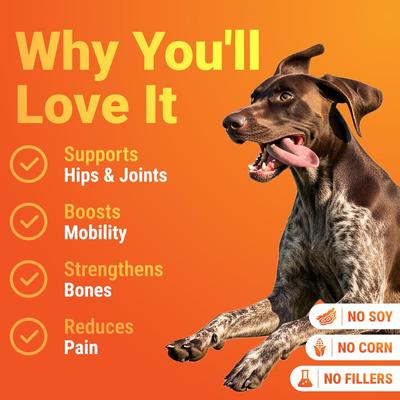 Hip & Joint Supplement Chews for Dogs, 140 count