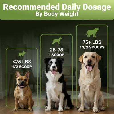 Dental Cleaning Powder with Probiotics for Dogs, 2-oz