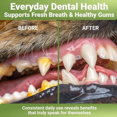 Dental Cleaning Powder with Probiotics for Dogs, 2-oz