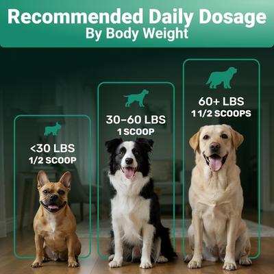 Skin & Coat Supplement Collagen Powder, 2-oz